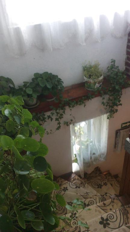 Edelvays House Hotel Trigrad Bagian luar foto